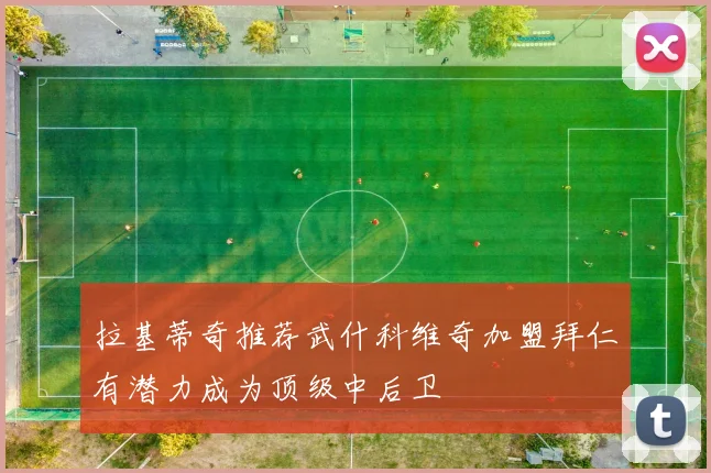 拉基蒂奇推荐武什科维奇加盟拜仁有潜力成为顶级中后卫