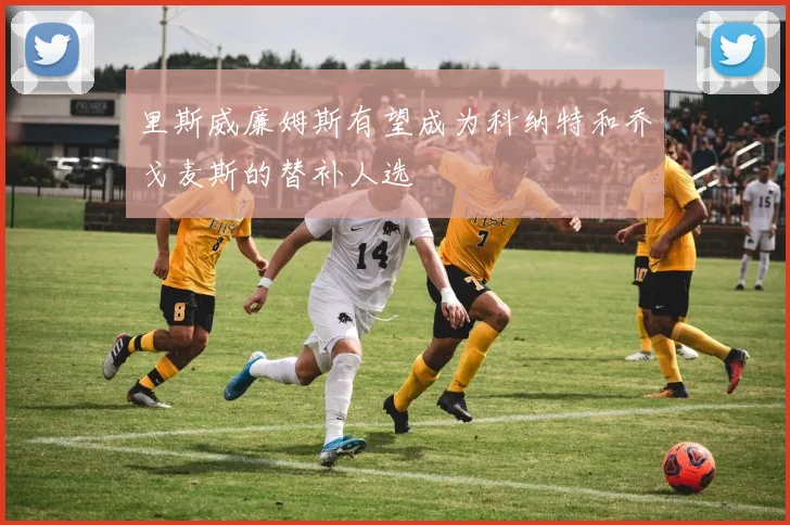 里斯威廉姆斯有望成为科纳特和乔戈麦斯的替补人选