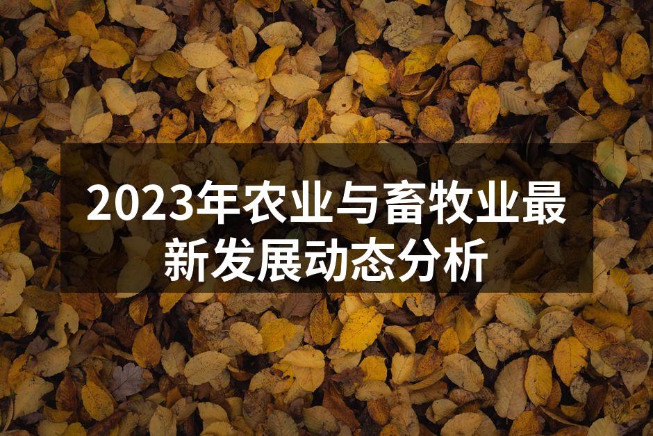 2023年农业与畜牧业最新发展动态分析
